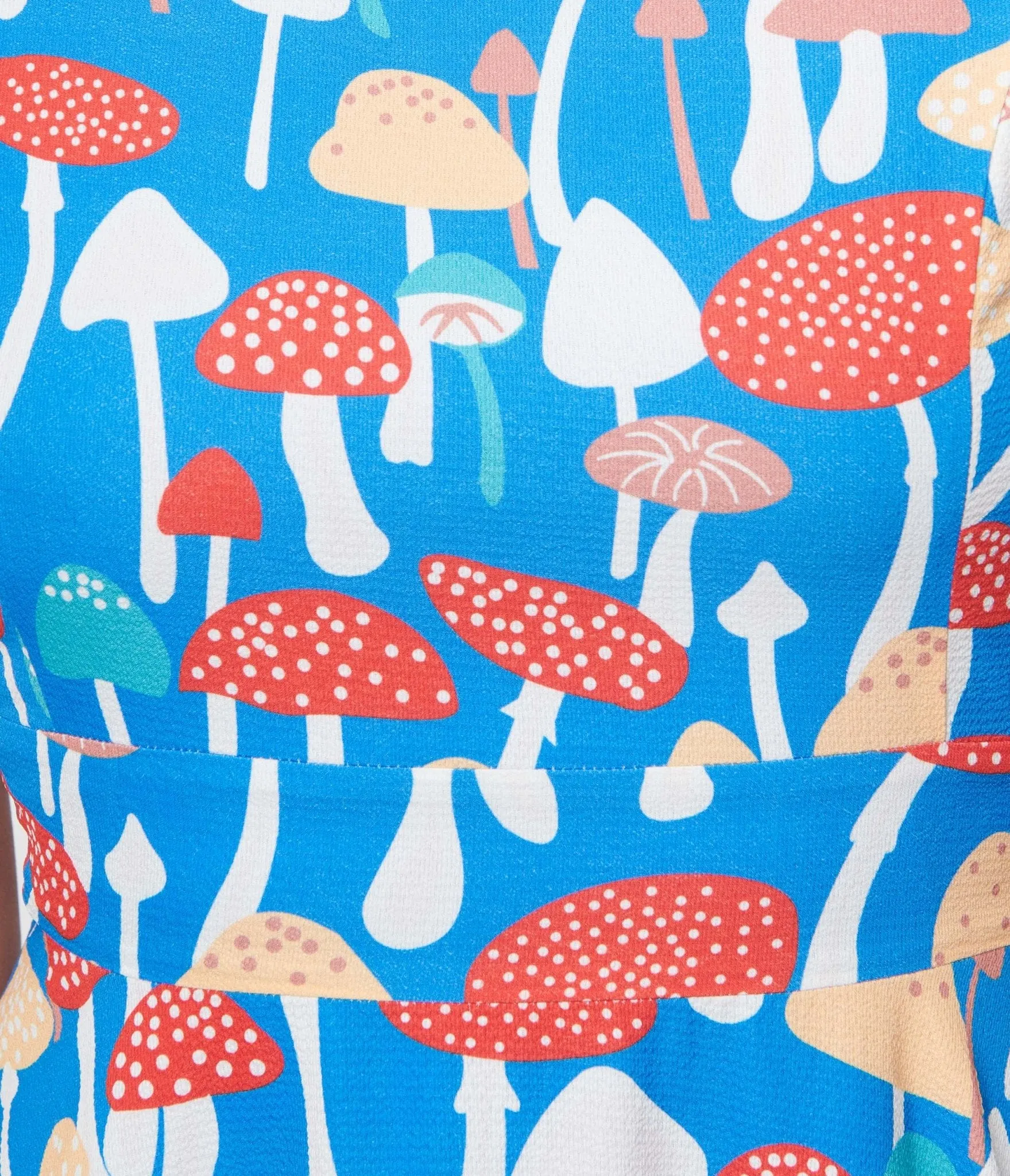 Blue Mushroom Fit & Flare Dress Casual Everyday Look