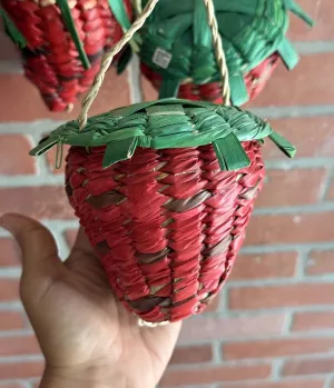 Strawberry Straw Shoulder Bag Fun Outing