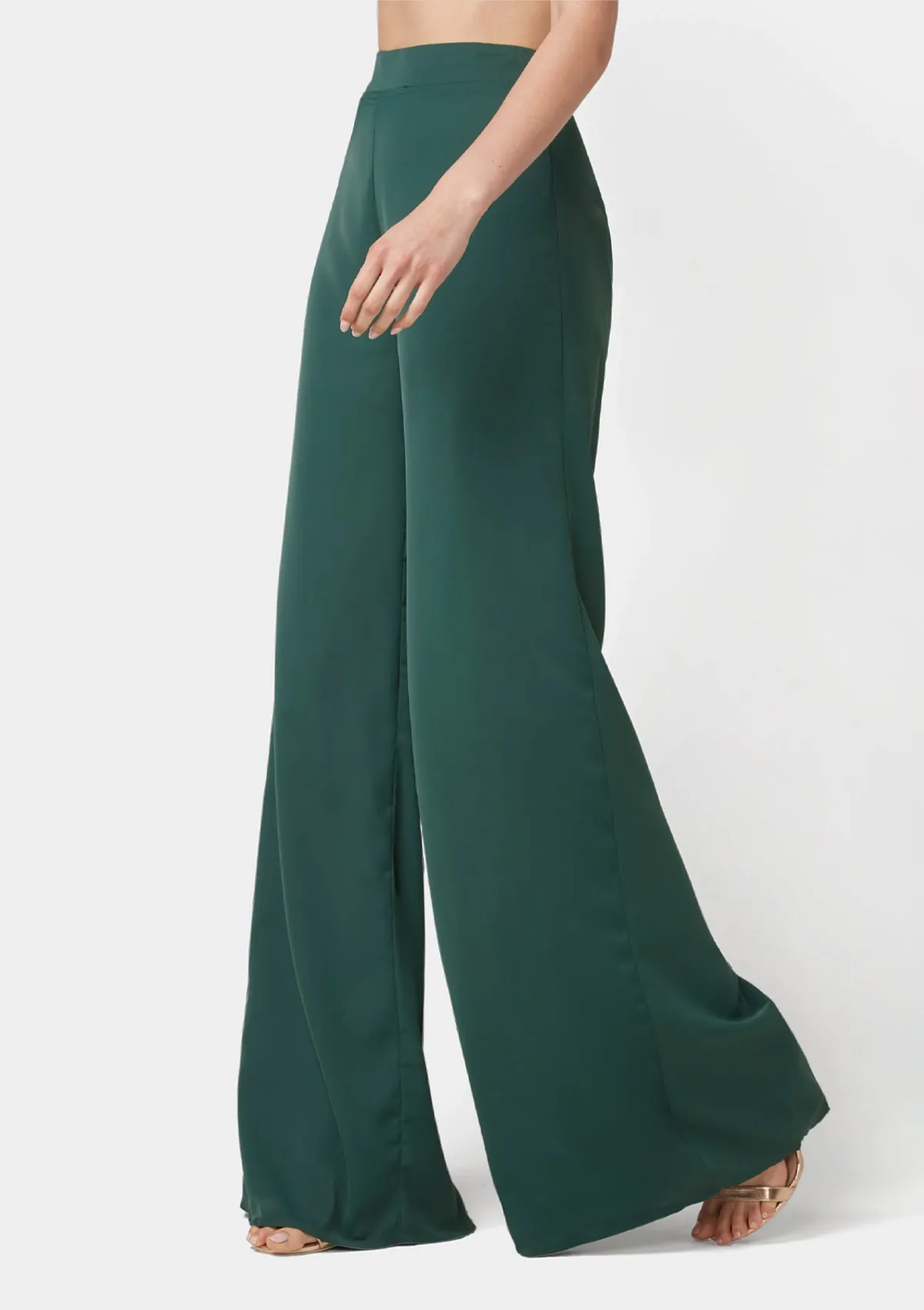 Tall Alina Wide Pants Smart & Chic Outfit