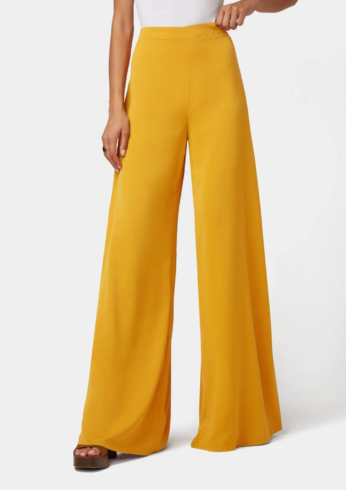 Tall Alina Wide Pants Smart & Chic Outfit