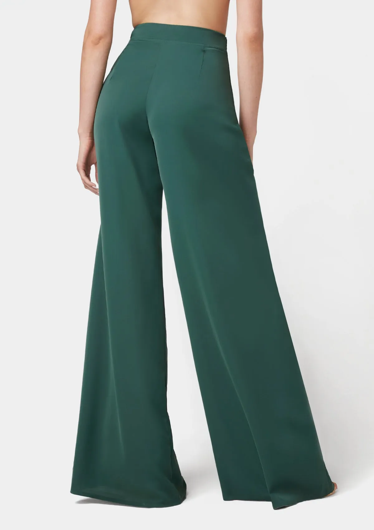 Tall Alina Wide Pants Smart & Chic Outfit