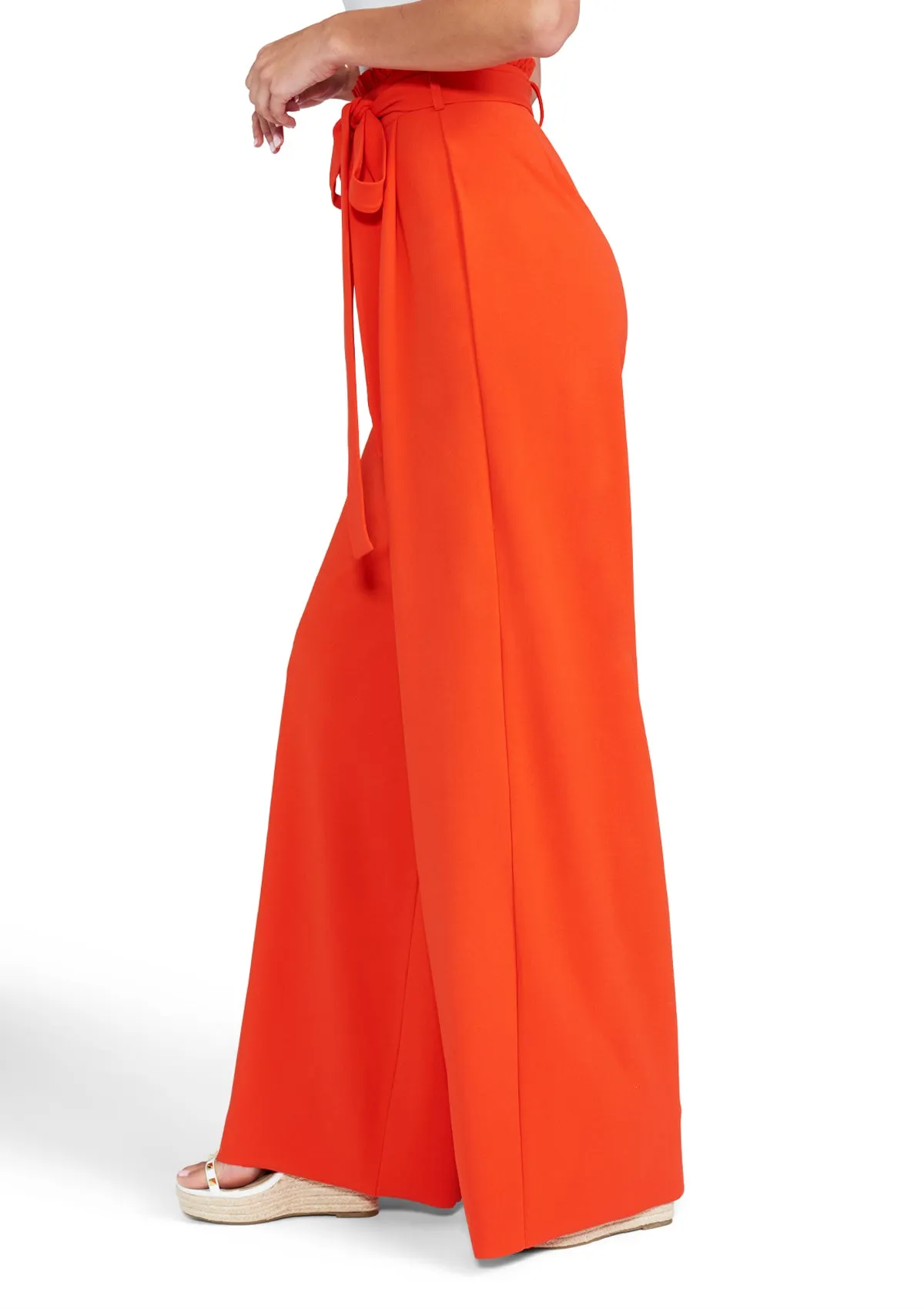 Tall Scarlett Ultra Wide Pants Smart & Chic Outfit