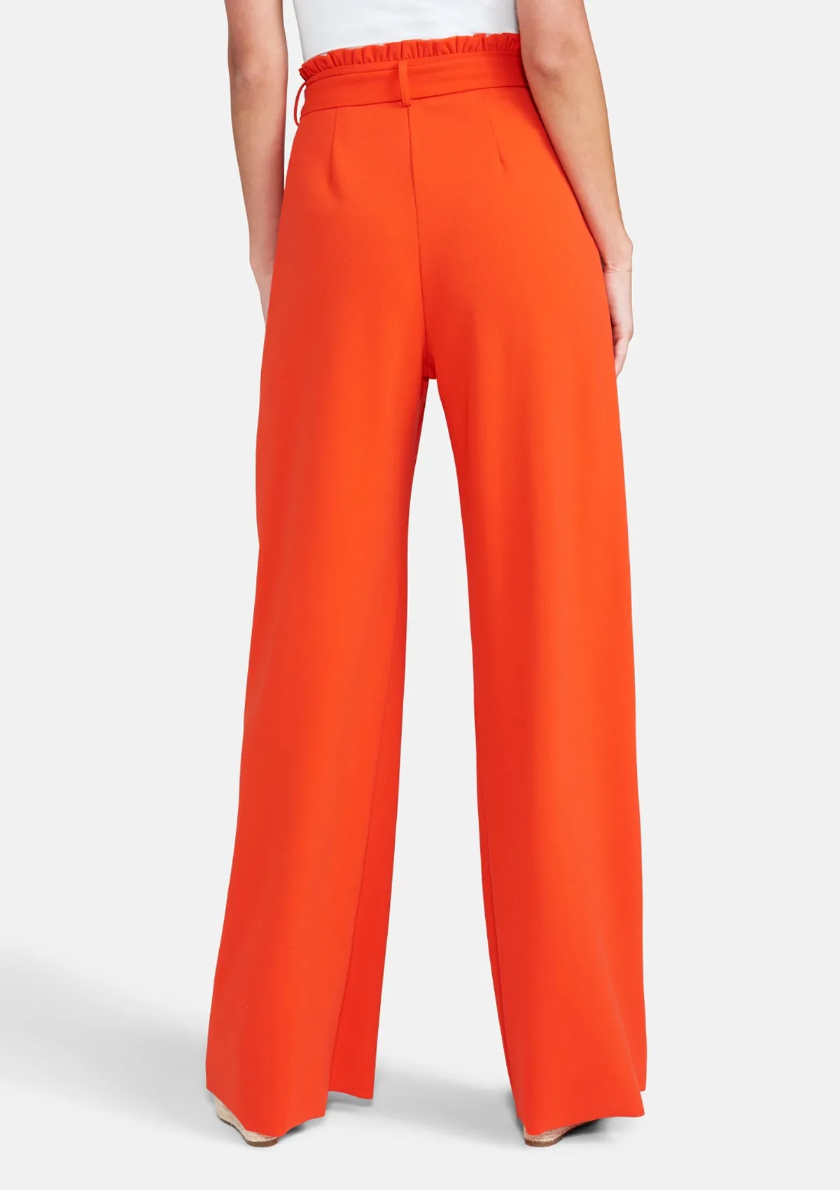 Tall Scarlett Ultra Wide Pants Smart & Chic Outfit