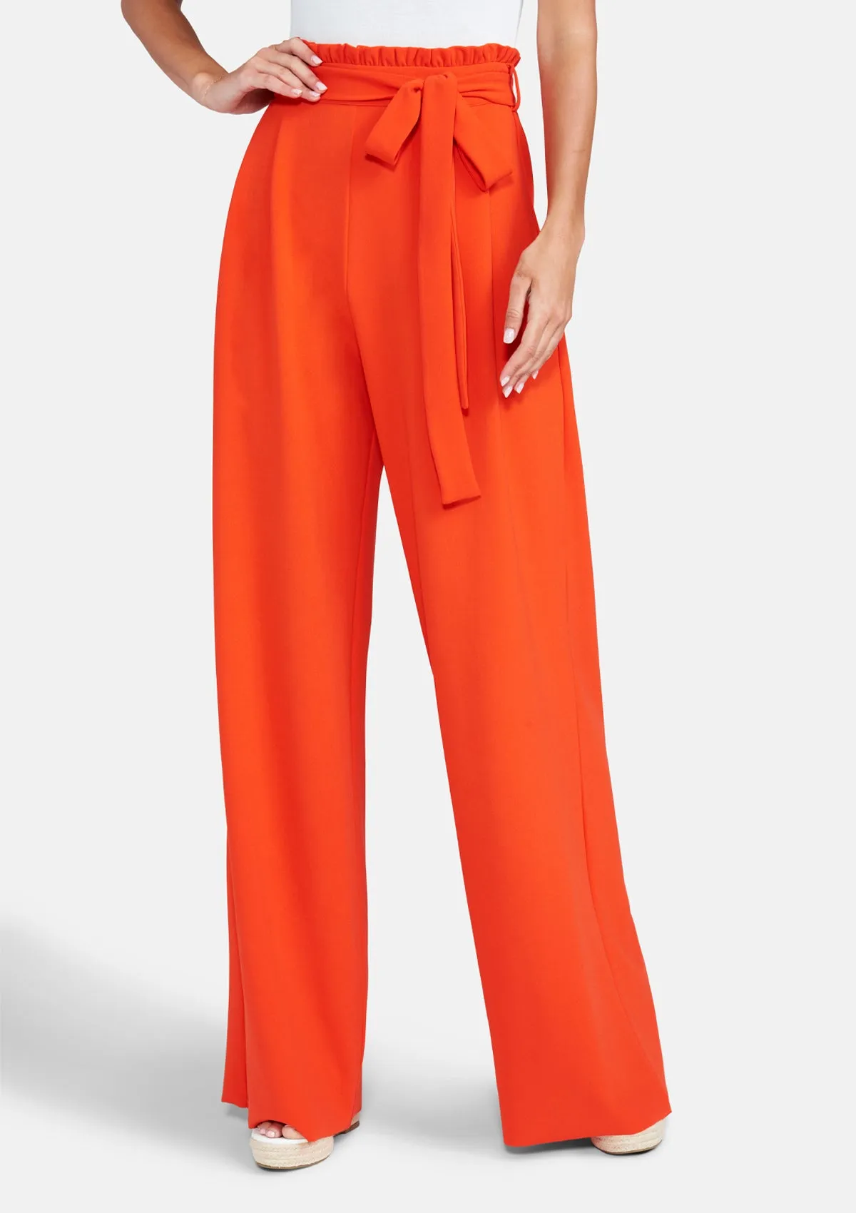 Tall Scarlett Ultra Wide Pants Smart & Chic Outfit